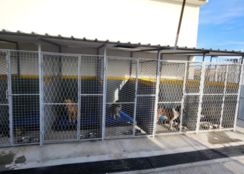 Oтворено новото прифатилиште за бездомни животни во Гевгелија