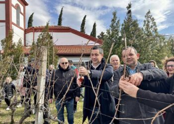 Одбележан Св. Трифун со традиционално закројување на лозјето