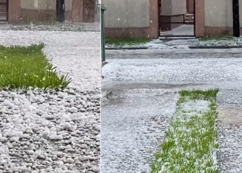 Пријава на штети на земјоделски објекти и површини, опрема, машини и стока до 20 март