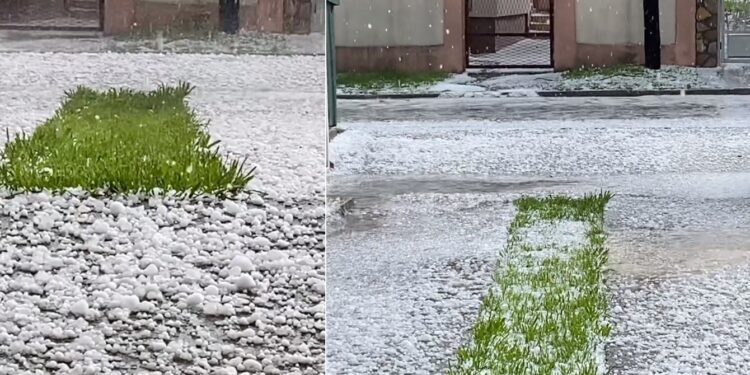 Пријава на штети на земјоделски објекти и површини, опрема, машини и стока до 20 март