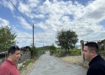 Изградба на секундарна влеза улица во Мрзенци