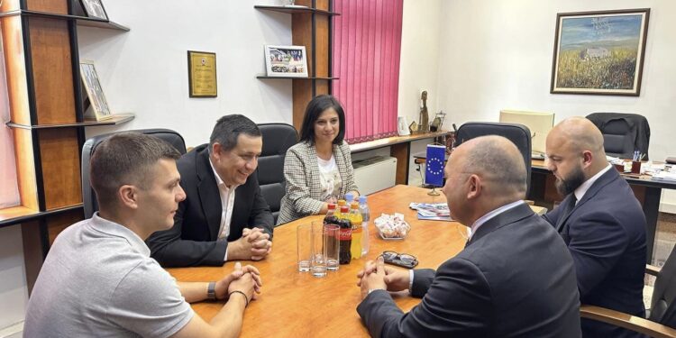 Работна средба на градоначалникот Сарамандов со австрискиот амбасадор, Мартин Памер