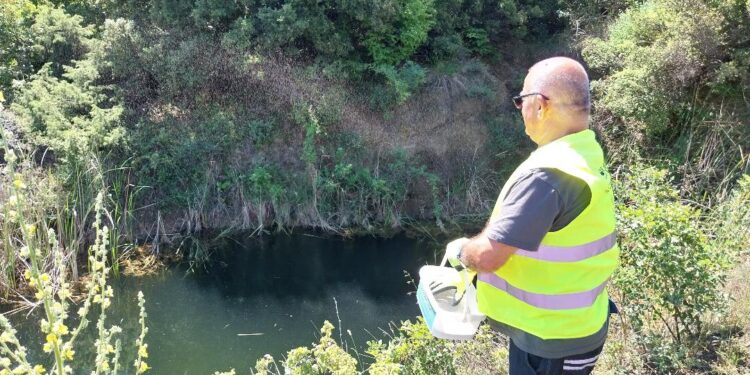 На 4 јуни, прво прскање против возрасни комарци, извршена втората ларвицидна дезинсекција
