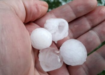 29.035.339 денари утврдена штета на земјоделски култури во општина Гевгелија