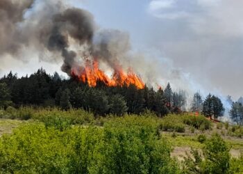 Апел до граѓаните за внимание од предизвикување пожари во летната сезона