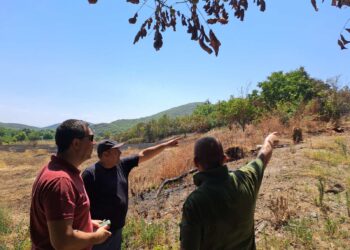 Засега, локализиран пожарот што изби кај Кованец