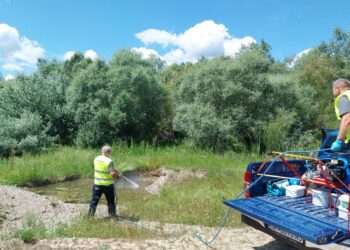 Извршено и последното ларвицидно прскање во општина Гевгелија