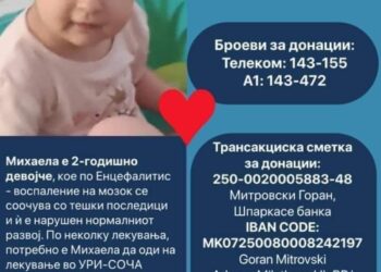 Советот на Општина Гевгелија одобри финансиска помош за лекување на Михаела Митровска