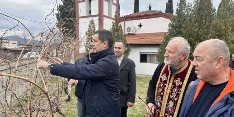 Одбележан Св. Трифун со закројување на лозјето во црквата „Св. Петка“ во Прдејци