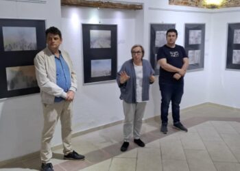 Отворена изложбата „Визии- глава полна со луѓе“ на Родољуб Анастасов