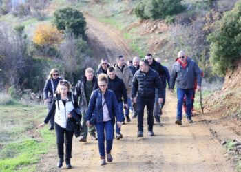 Реализирана втората масовна акција за пошумување: Засадени 14.000 садници чемпрес на „Милош Брдо“ во Негорци