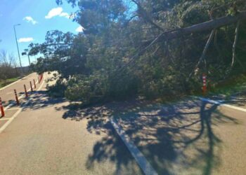 Соопштение за граѓаните: Пријавување на материјални штети од силните налети на ветер во Општина Гевгелија