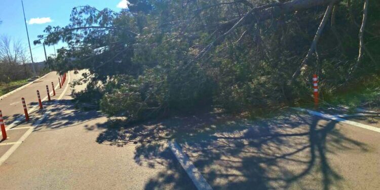 Соопштение за граѓаните: Пријавување на материјални штети од силните налети на ветер во Општина Гевгелија