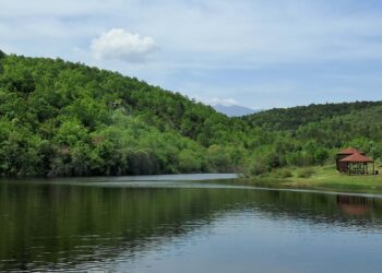 Реализирано второто ларвицидно прскање против комарци во општина Гевгелија