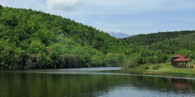 Реализирано второто ларвицидно прскање против комарци во општина Гевгелија