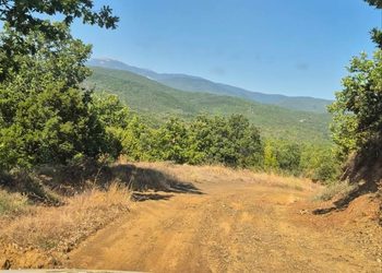 Продолжуваат теренските патроли за превенција од пожари во шумските и зелените површини