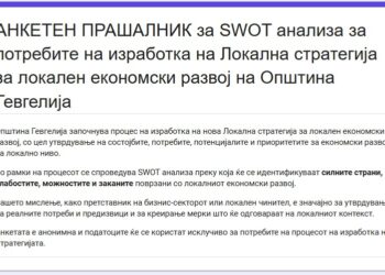 АНКЕТЕН ПРАШАЛНИК за SWOT анализа за потребите на изработка на Локална стратегија за локален економски развој на Општина Гевгелија 2027–2031 г.